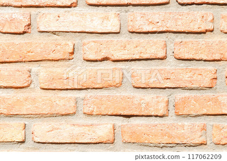 brick wall or brick fence, brick brick wall or brick fence, brick 117062209