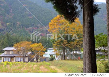 漫步無名池(俗稱莫奈池)4(岐阜縣關市板取) 漫步無名池(俗稱莫奈池)4(岐阜縣關市板取) 117062263