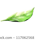 Green leaves falling from trees 117062568