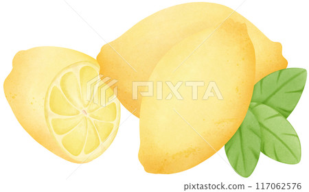 yellow lemon 117062576
