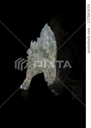 Looking out of the entrance to Yarrangobilly Caves in the Snowy Mountains 117062616
