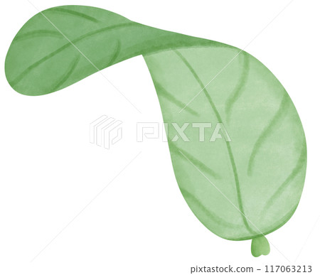 green leaf isolated green leaf isolated 117063213