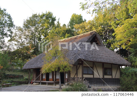 木曾三河公園（河川環境樂園）秋季散步 35 117063446