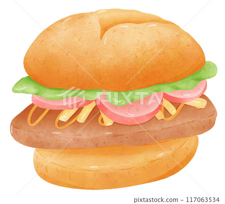 Burger and fries Burger and fries 117063534