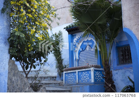 Chefchaouen, Morocco Chefchaouen, Morocco 117063768