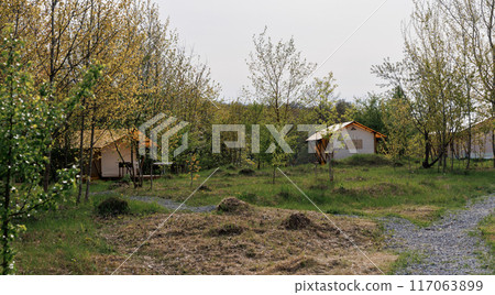 Cozy open glamping tents with light inside in summer camp. Camping tent for holiday and vacation 117063899