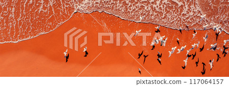 Seascape with flying seagulls and sandy beach. Top view. Horizontal banner 117064157
