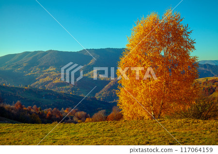 Mountain landscape on an autumn sunny day Mountain landscape on an autumn sunny day 117064159
