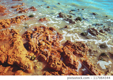 Clay steep coast. Seashore on a sunny day. Nature background Clay steep coast. Seashore on a sunny day. Nature background 117064344