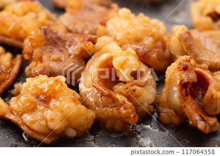 烤內臟條紋雞肉配烤肉 117064358