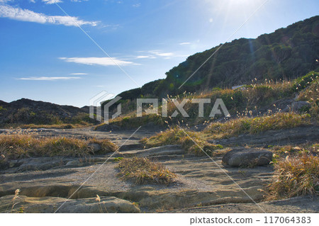 [Kanagawa Prefecture] Scenery of Jogashima 117064383