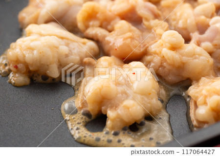 烤內臟條紋雞肉配烤肉 117064427