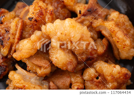 荷爾蒙烤斑馬魚 荷爾蒙烤斑馬魚 117064434