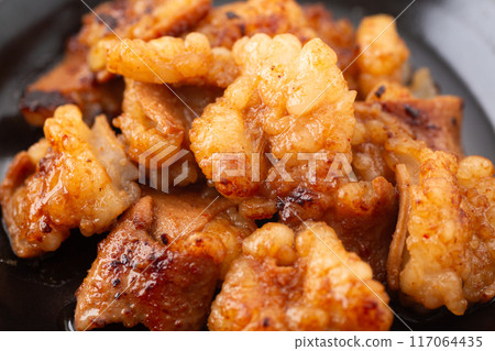 荷爾蒙烤斑馬魚 荷爾蒙烤斑馬魚 117064435