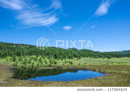 Sky Walk Ikenotaira Marshland 117064829
