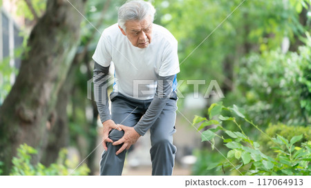 膝關節病老人 117064913
