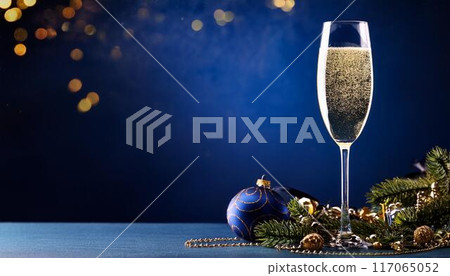 Champagne, Christmas, copy space 117065052