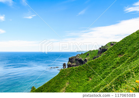 Hokkaido Shakotan Peninsula Kamiaki Cape 117065085