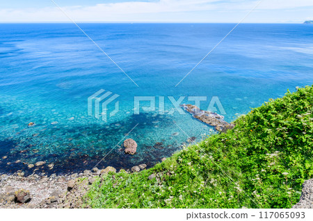 Hokkaido Shakotan Peninsula Kamiaki Cape 117065093