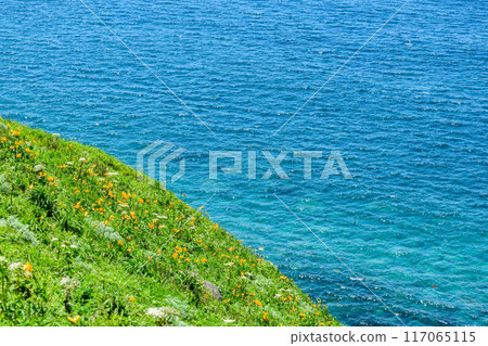 Hokkaido Shakotan Peninsula Kamiaki Cape 117065115