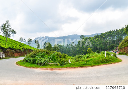 Road winding through Tea gardens 117065710