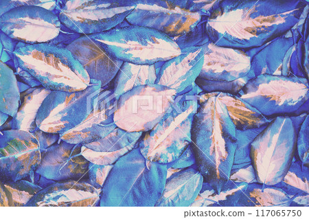 Fallen colorful leaves nature background. Blue filter 117065750