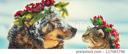 Funny dog and cat with Christmas wreath sitting together outdoors on the snow in winter. Christmas scene. Horizontal banner 117065796