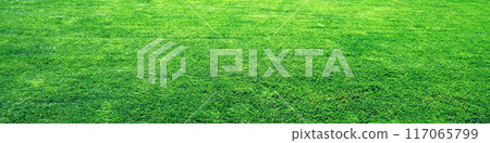 Green lawn for background 117065799