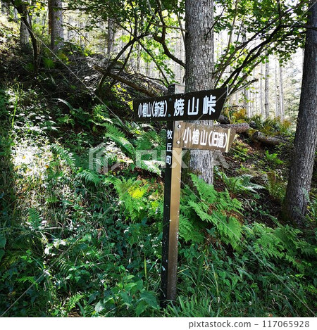 小鳴山徒步 小鳴山徒步 117065928