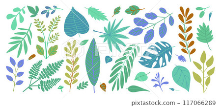 Vector illustration of various colorful tropical leaves and branches in different shapes and sizes. 117066289