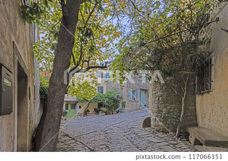 Picture from the town of Groznjan with idyllic cobbled streets and buildings made of natural stone 117066351