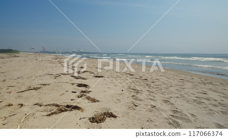 Seaweed launched on the beach 117066374