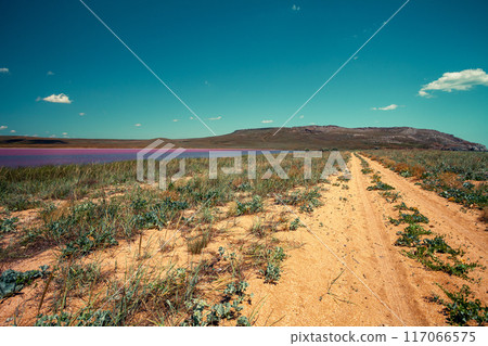 Dirt road along Pink Lake Dirt road along Pink Lake 117066575