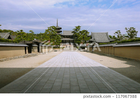 World Heritage Site Horyu-ji Temple / Front of the Middle Gate / Ikaruga Town, Nara Prefecture 117067388