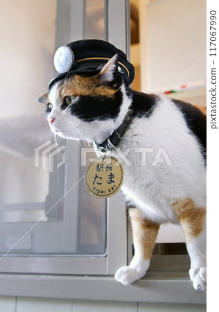 Stationmaster Tama working at the ticket gates before the Kishi Station renovation Stationmaster Tama working at the ticket gates before the Kishi Station renovation 117067990
