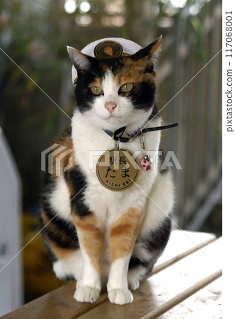 多摩站長岸站改造前的夏帽 117068001