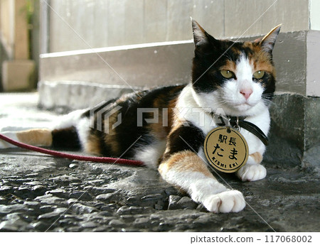 改造前的多摩站長貴志站 117068002