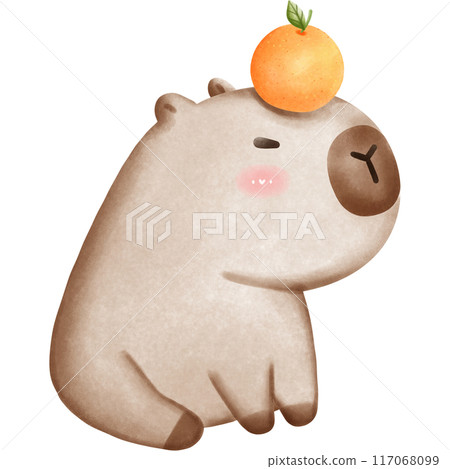 This animal is called a capybara 117068099