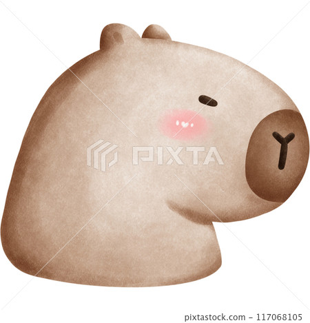 This animal is called a capybara This animal is called a capybara 117068105