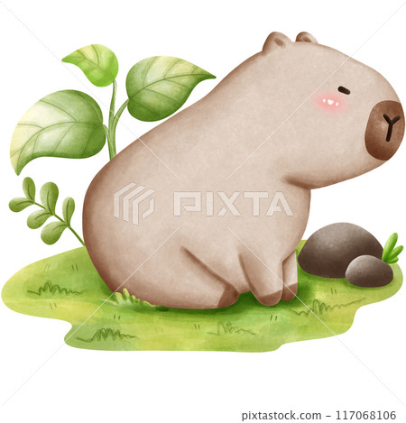 This animal is called a capybara 117068106