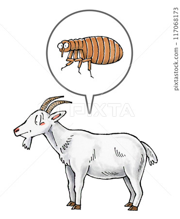 Goat and flea Goat and flea 117068173