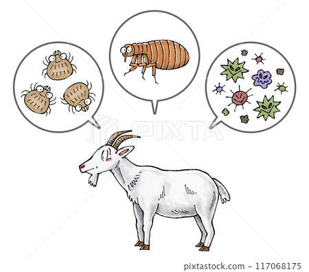 Goats and parasites (ticks, fleas, disease-causing bacteria) 117068175
