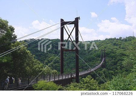 Osaka Katano City Hoshida Enchi Hoshi no Swing (from the northeast side, summer) 117068226