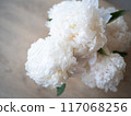 白芍 117068256
