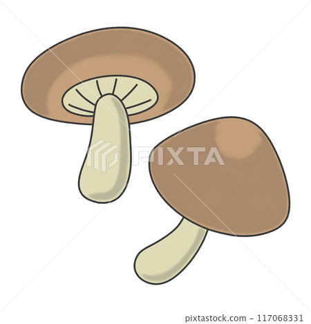 香菇的插圖 117068331