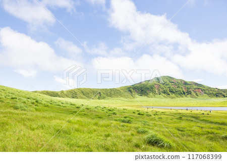 Kusakihamahama in Aso 117068399