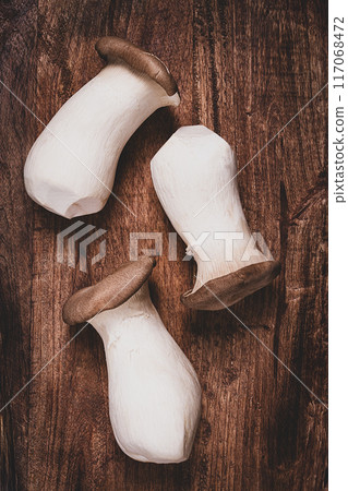 fresh eringi mushrooms, raw, royal oyster mushrooms, three pieces, Asian cuisine, no people fresh eringi mushrooms, raw, royal oyster mushrooms, three pieces, Asian cuisine, no people 117068472