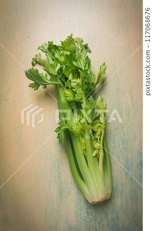 fresh bunch of celery, top view, no people, fresh bunch of celery, top view, no people, 117068676