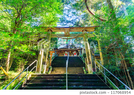 Summer at Heitate Shrine in Yamato Town, Kumamoto Prefecture Summer at Heitate Shrine in Yamato Town, Kumamoto Prefecture 117068954