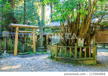夏季志立神社 熊本縣 大和町 夏季志立神社 熊本縣 大和町 117068968
